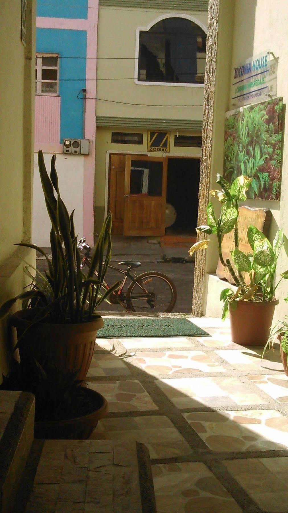 Hostal Miconia Пуэрто-Айора Экстерьер фото